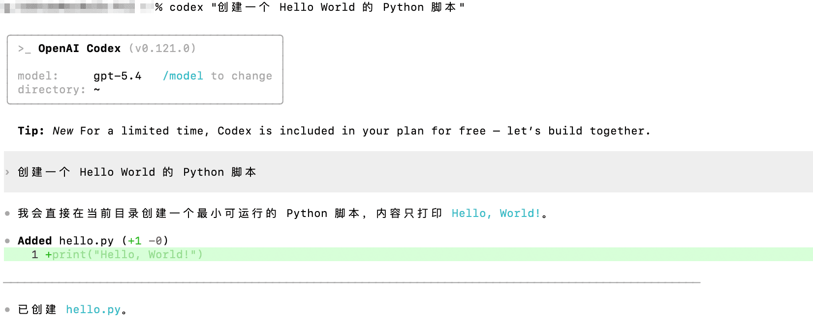 Codex CLI の実行