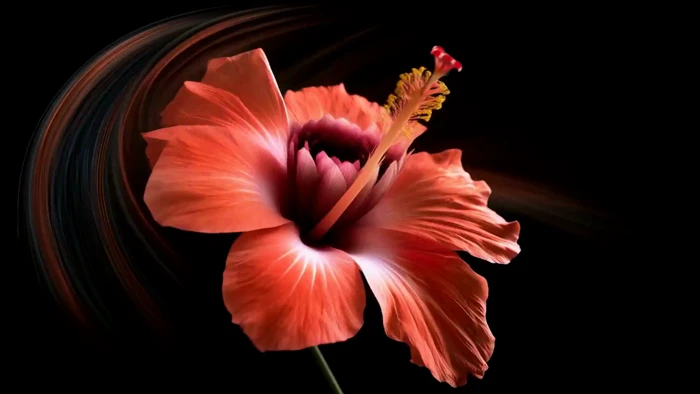 A Colorful Montage of Blooming Flowers