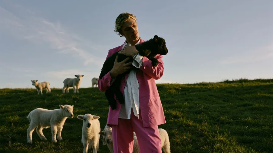 Lip-Synced Redub — Editing an Existing Clip · Input video · video1 source clip pink suit lamb