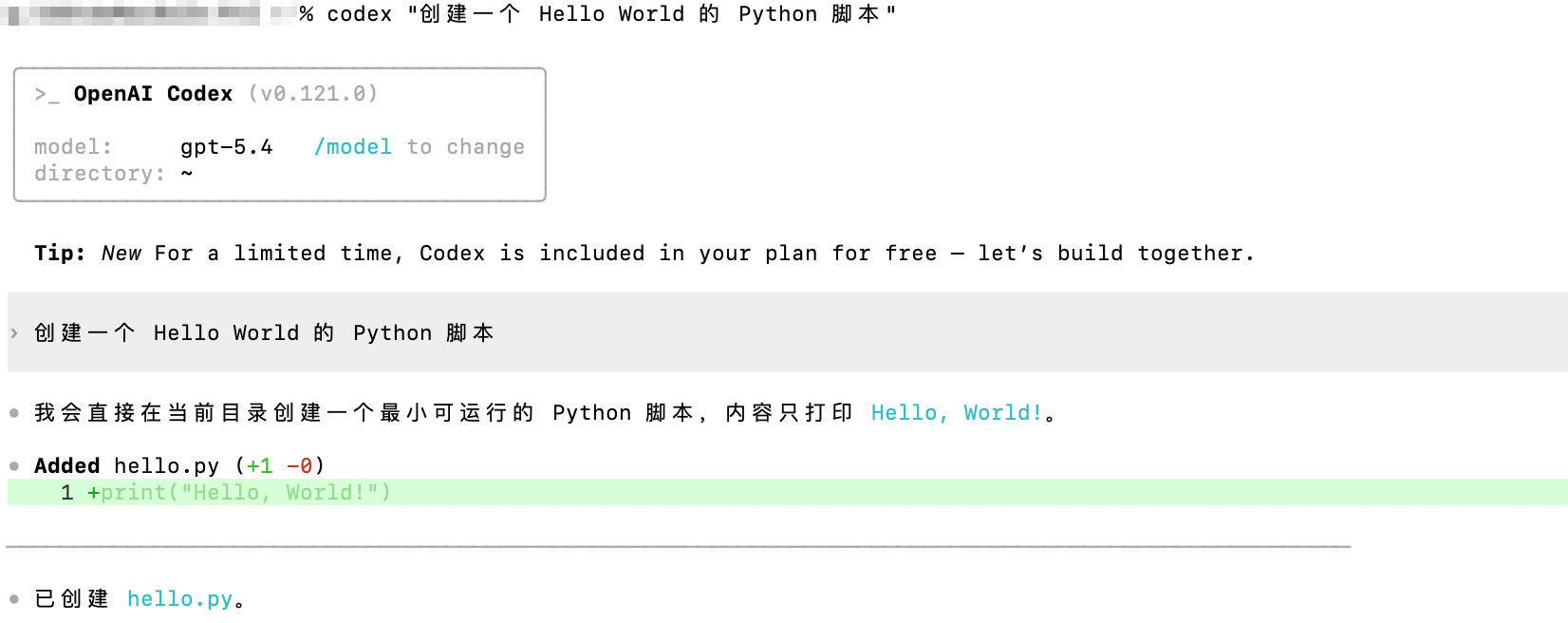 Codex CLI の実行