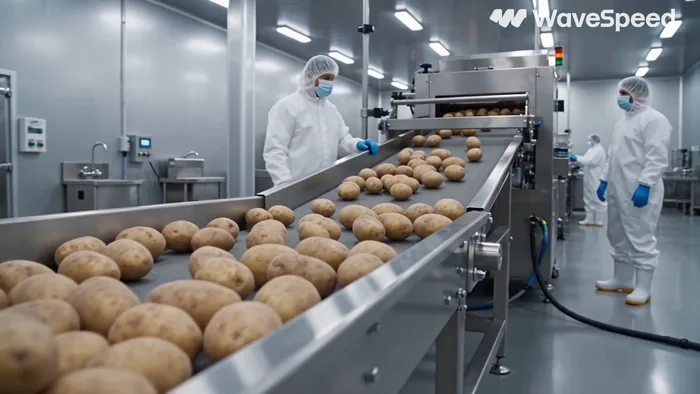 Automated french-fry factory line