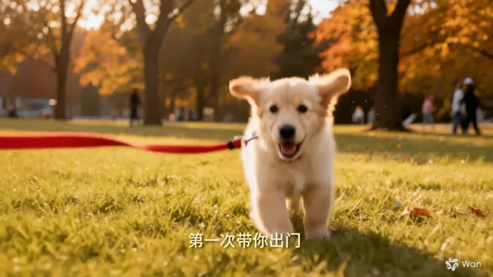 A Golden Retriever's First Year, from a .docx