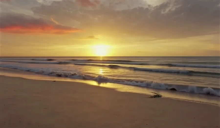 Add Element — A Reef on the Beach · Eingabevideo · 编辑前视频